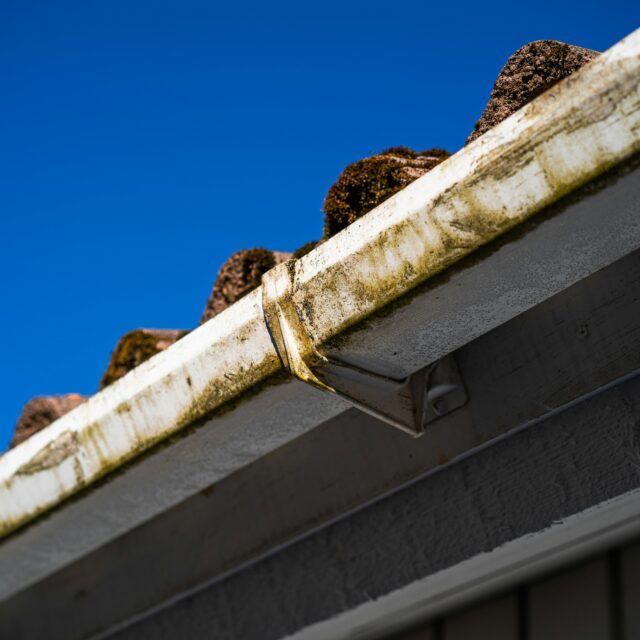 gutter cleaner in emdonton area https://fixlyco.ca/wp-content/uploads/2025/11/aleksi-partanen-kBc9SXXjezA-unsplash-640x640.jpg